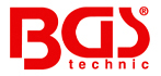 bgs